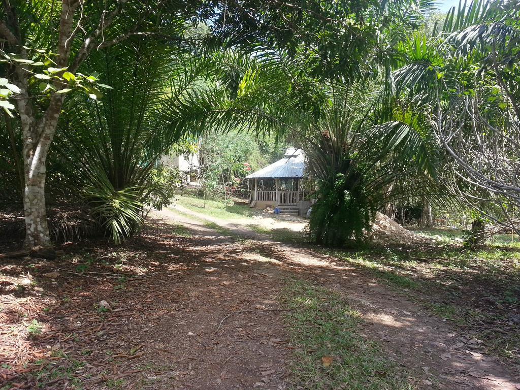 Penzion Xultun Farm San Ignacio Exteriér fotografie